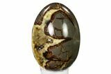 Calcite Crystal Filled Septarian Geode Egg - Utah #149940-2